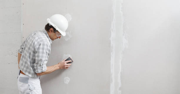 Best Drywall Texturing  in Stromsburg, NE